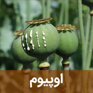 اوپیوم