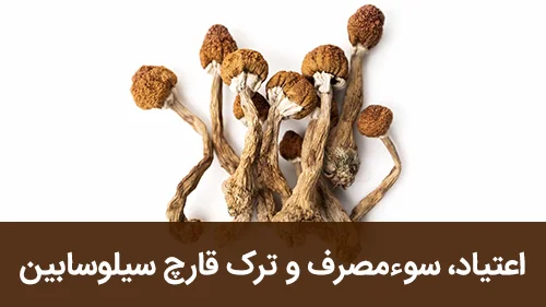 اعتیاد، سوءمصرف و ترک قارچ سیلوسابین