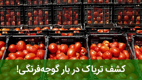 کشف تریاک در بار گوجه‌فرنگی!