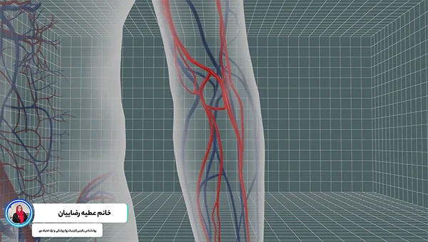 مواد مخدر کروکودیل چیست؟