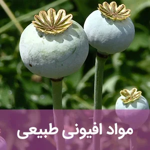 مواد افیونی طبیعی